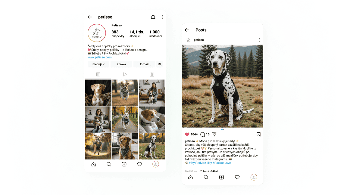 homepage-boxes
